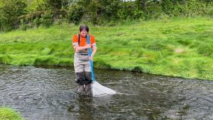 Estero Chinquihue, Región de Los Lagos