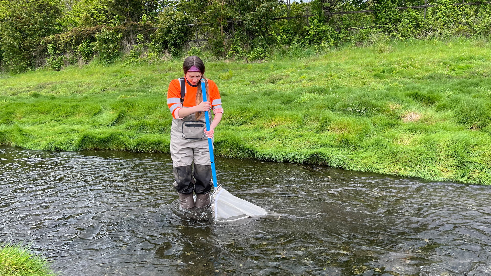 Estero Chinquihue, Región de Los Lagos