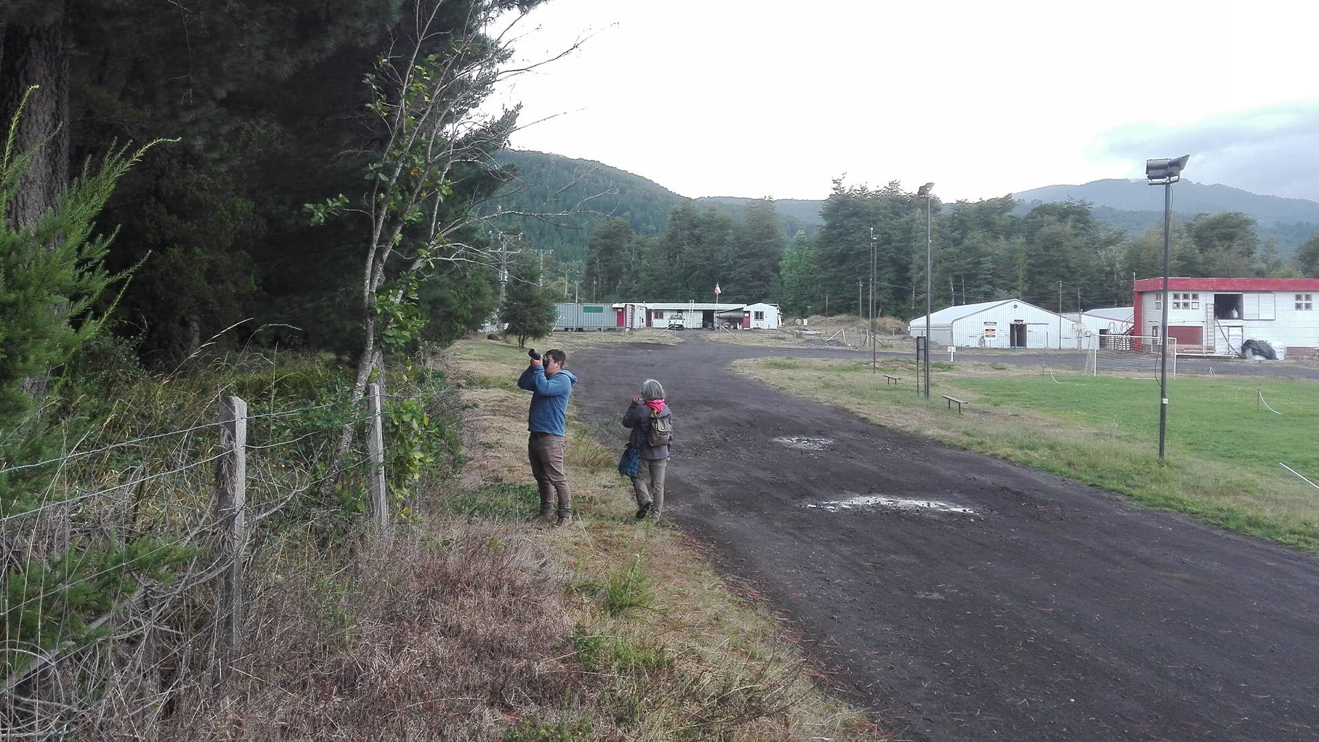 Estudio de biodiversidad y evaluación de impactos