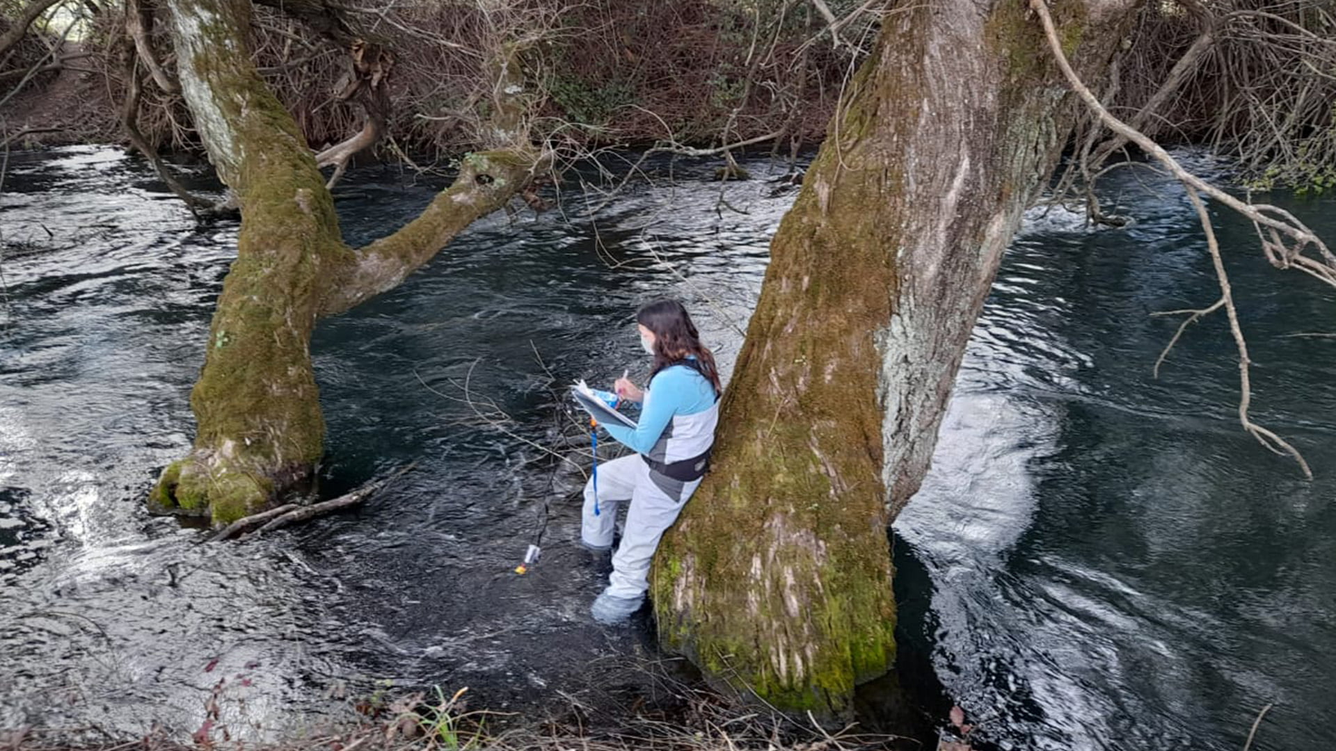 Río Caliboro, Región del Biobío