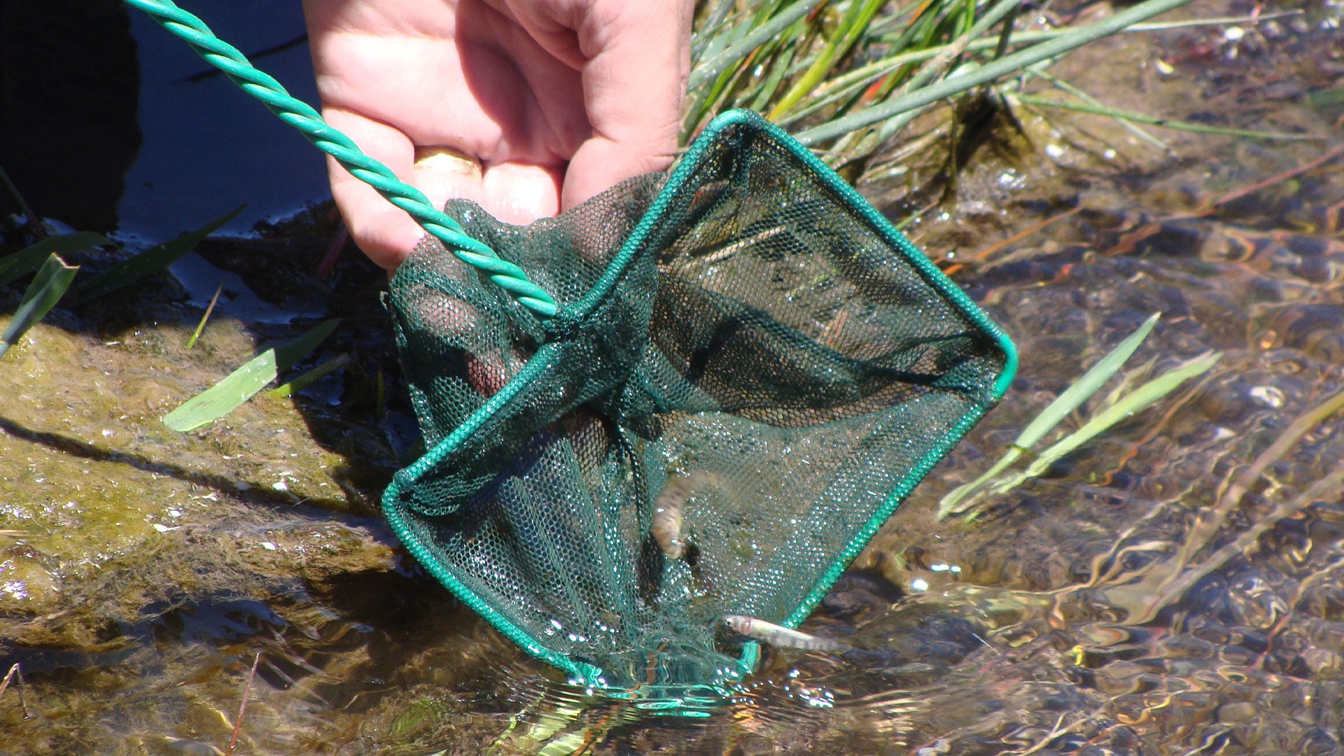 Río Blanco, Región de Valparaíso