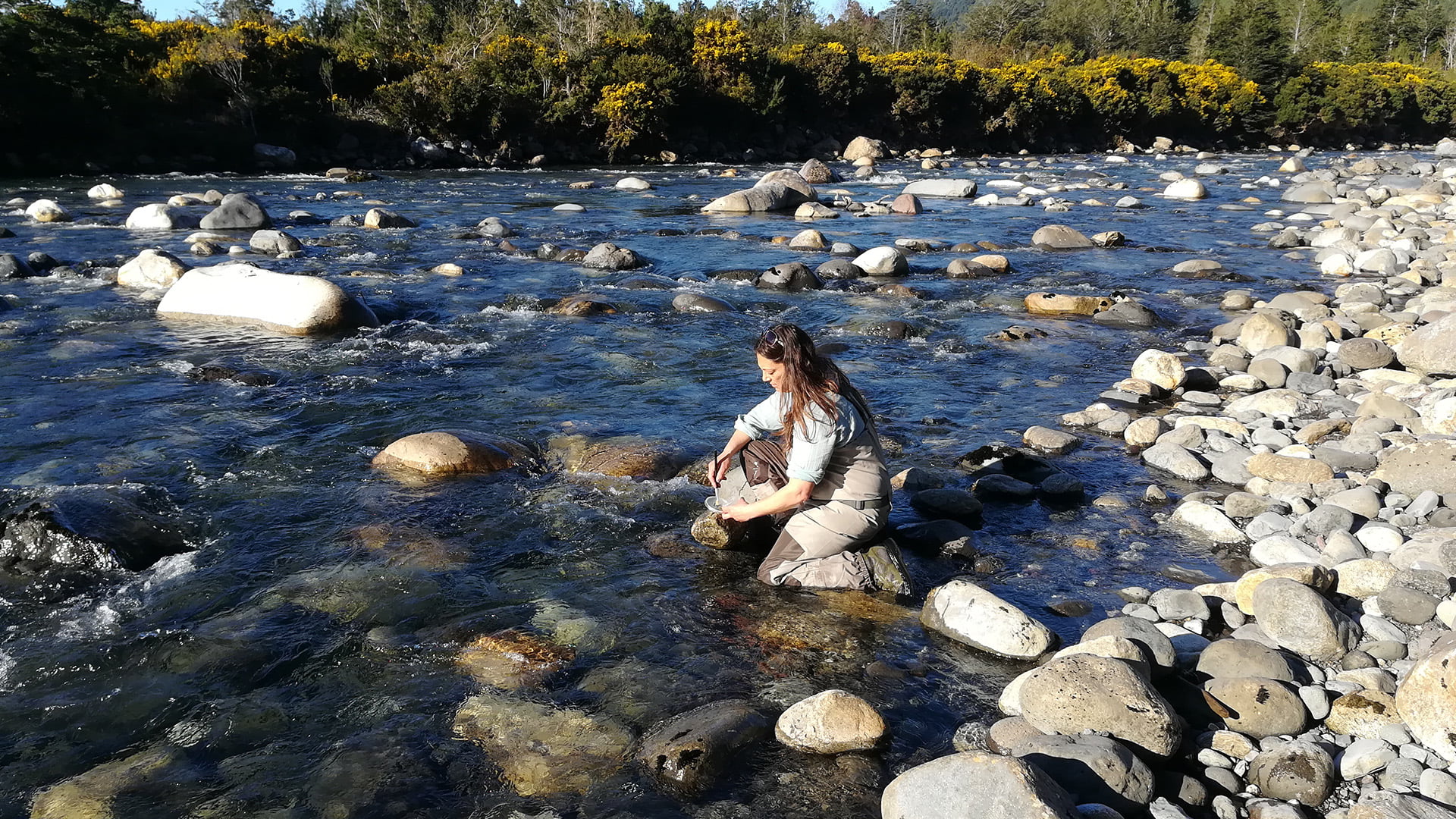 Río Llahuepe, Región de Los Lagos