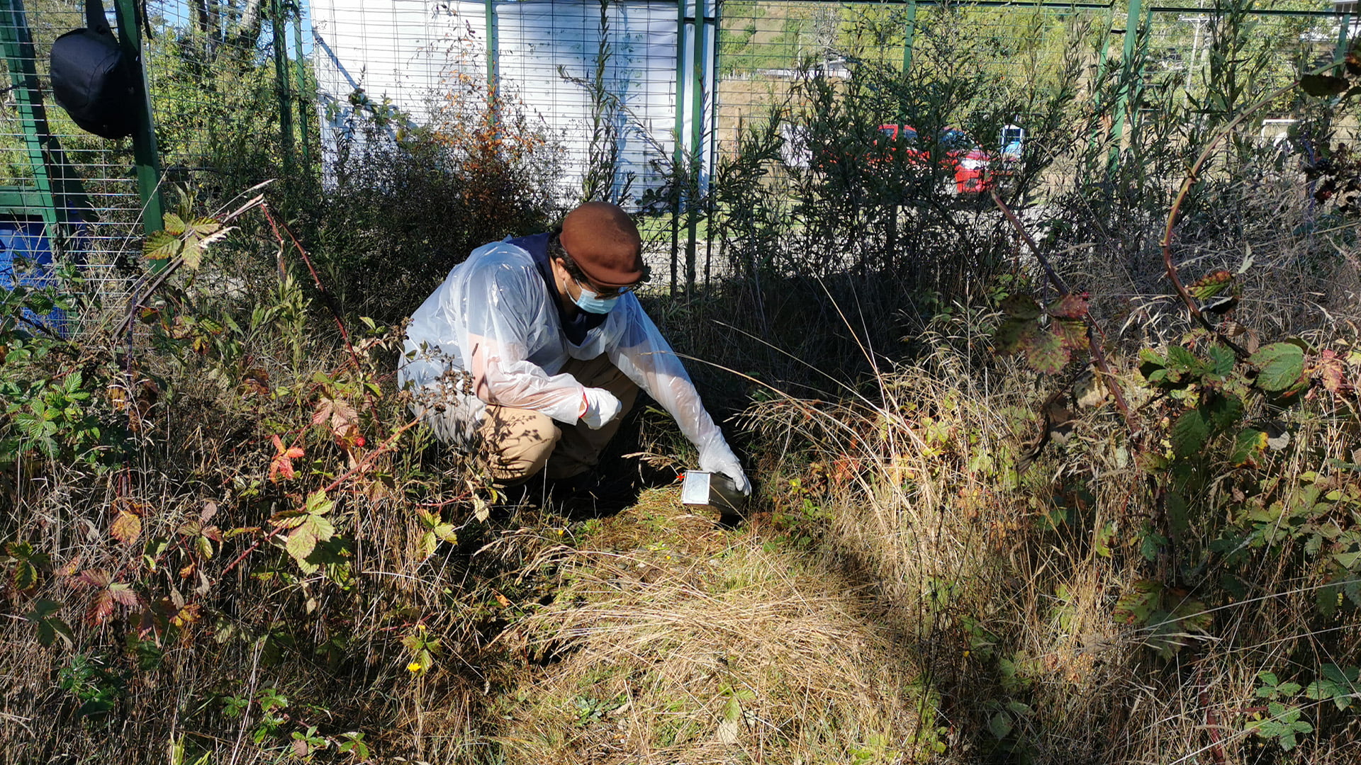 Caracterización fauna silvestre, Región de Los Ríos