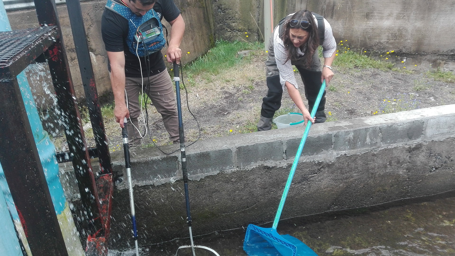 Captura de peces en canales