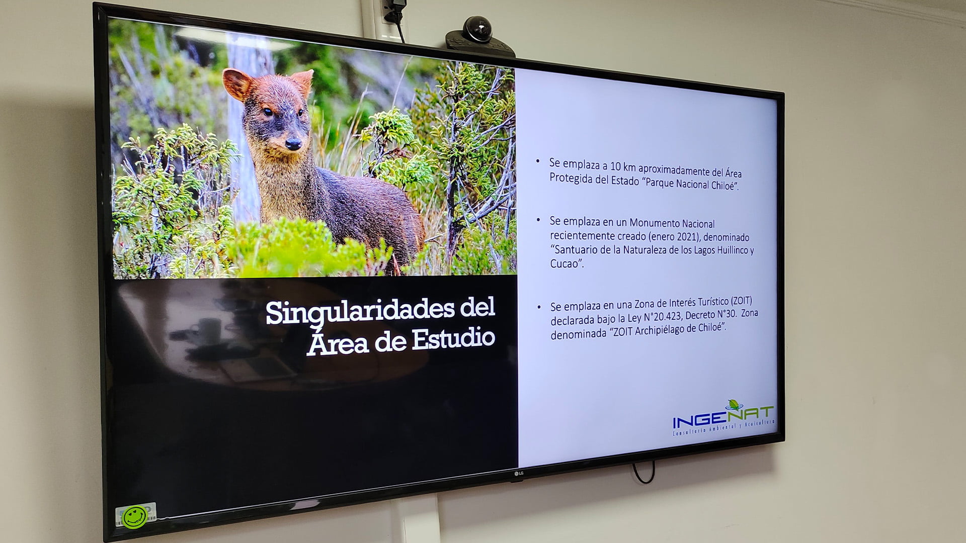 Capacitación de fauna a empresas